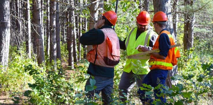 Forestry student working in the woods