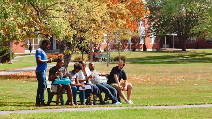 A group of students converse with one another, some seated on a bench and others standing, in the campus quad