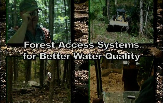Forest Access Systems video title screen