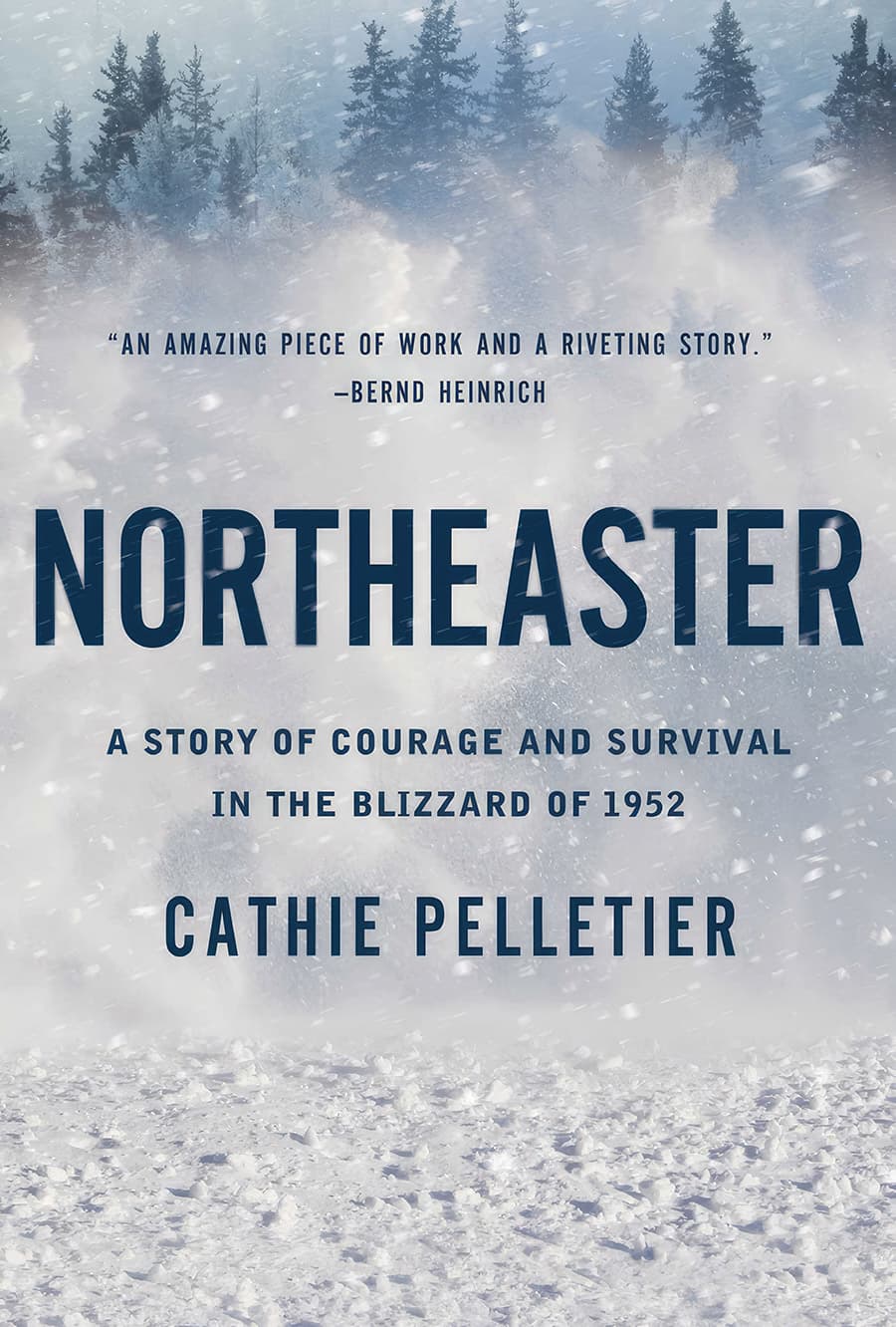 book cover for Northeaster by Cathie Pelletier