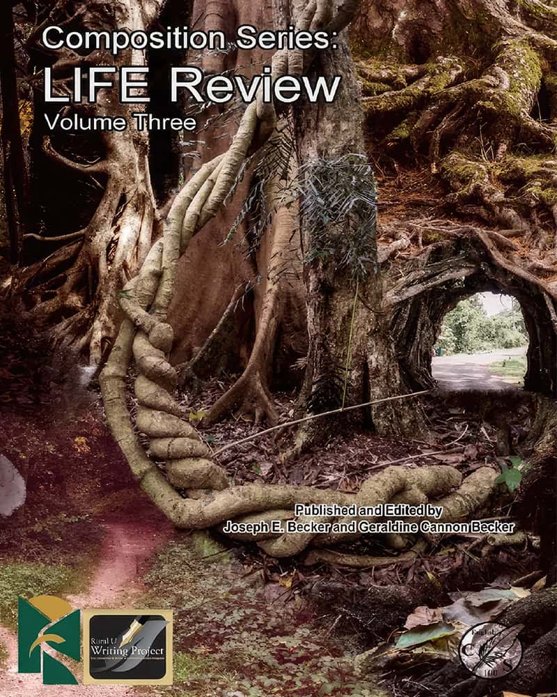 cover of Composition Series: LIFE Review, Volume Three