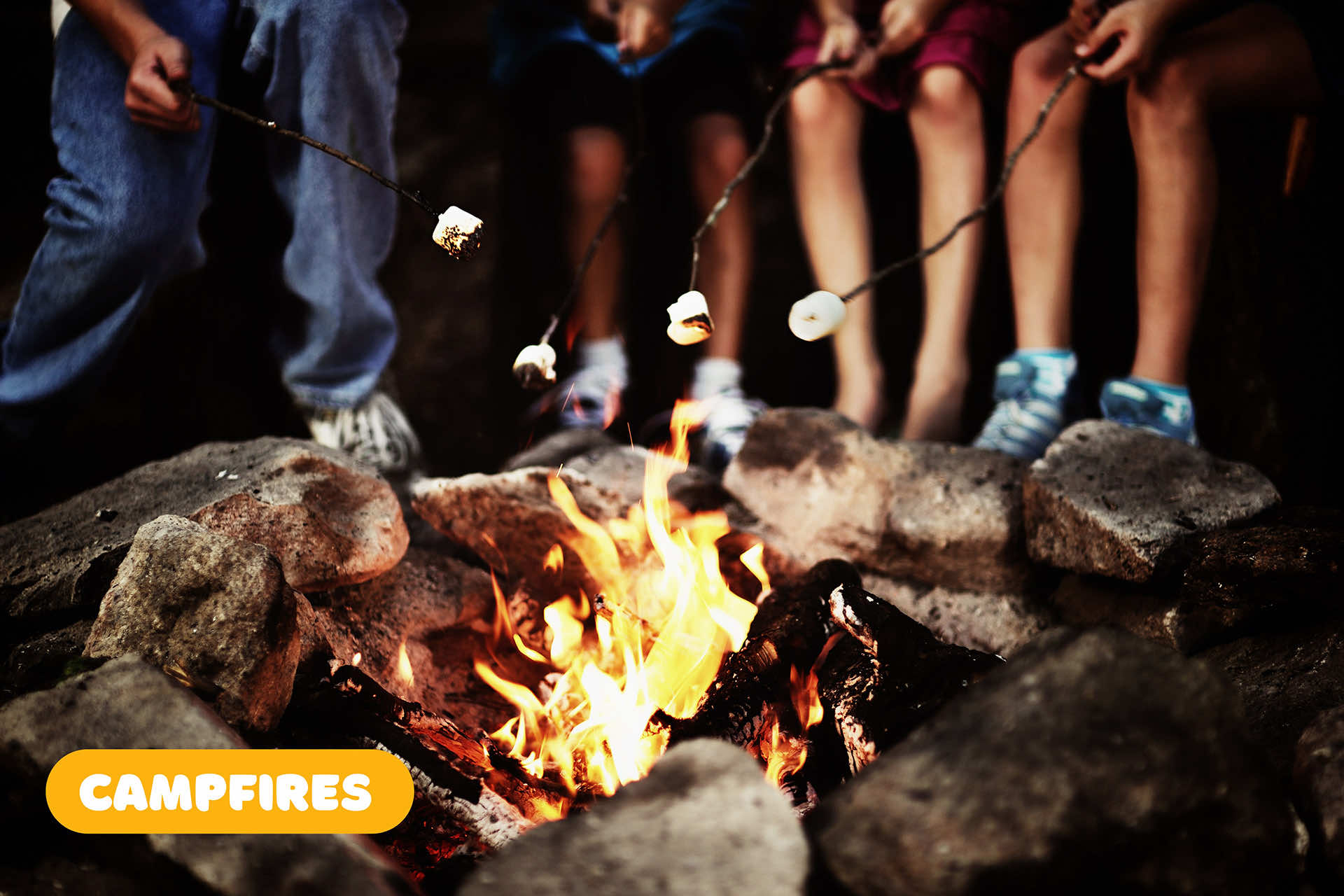 kids roast marshmallows around a campfire