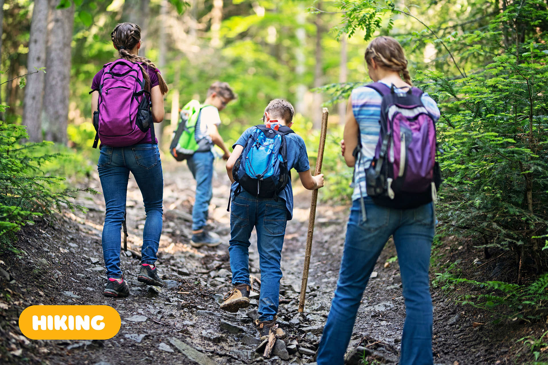 kids hiking along a trail in the woods